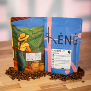 Gaviota - desde Piendamó, Cauca, Colombia